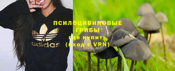 трава Алзамай