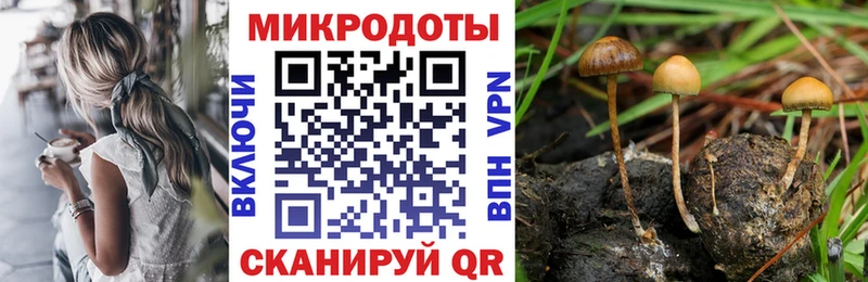 Галлюциногенные грибы Cubensis  купить закладку  Игра 